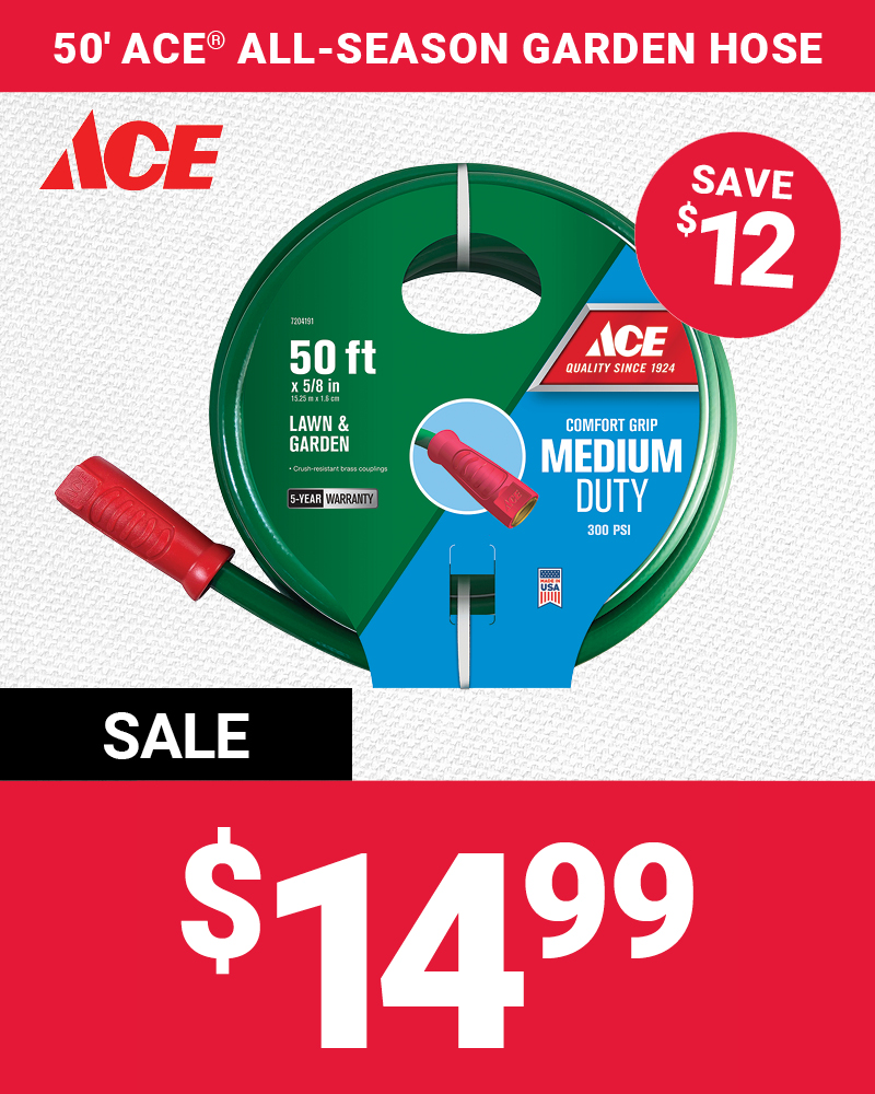 50' Ace® All-Season Garden Hose